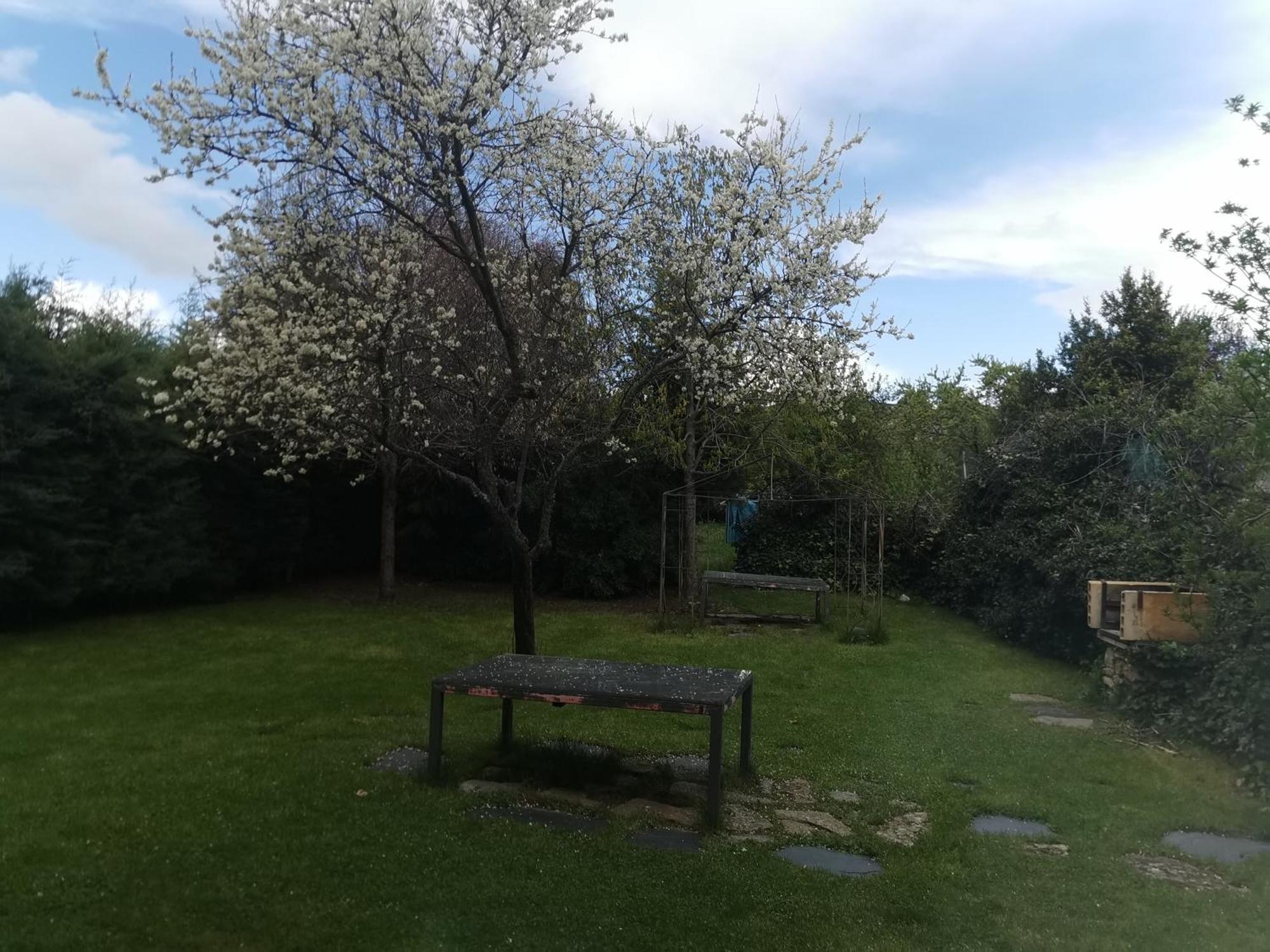 Apartamentos Rurales Alvado Tamajon Buitenkant foto